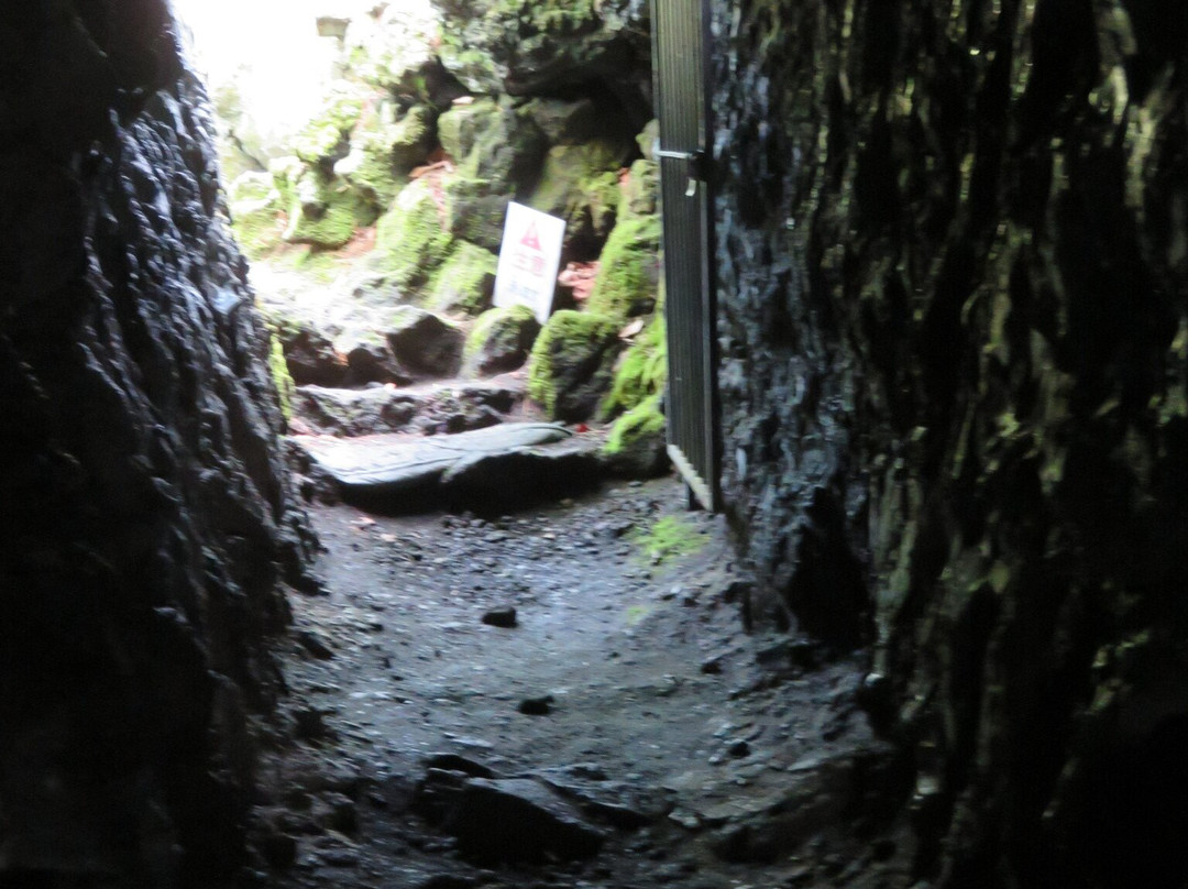Funatsu Tainai Jugata Lava Tree Mold景点图片