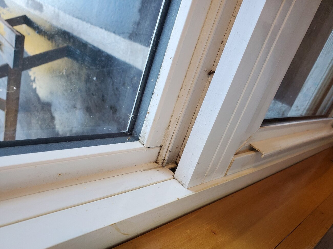 Wawa Motor Inn主图