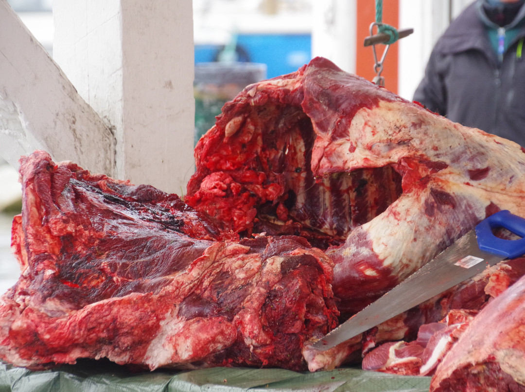 The Fish Market-Qaqortoq必去景点