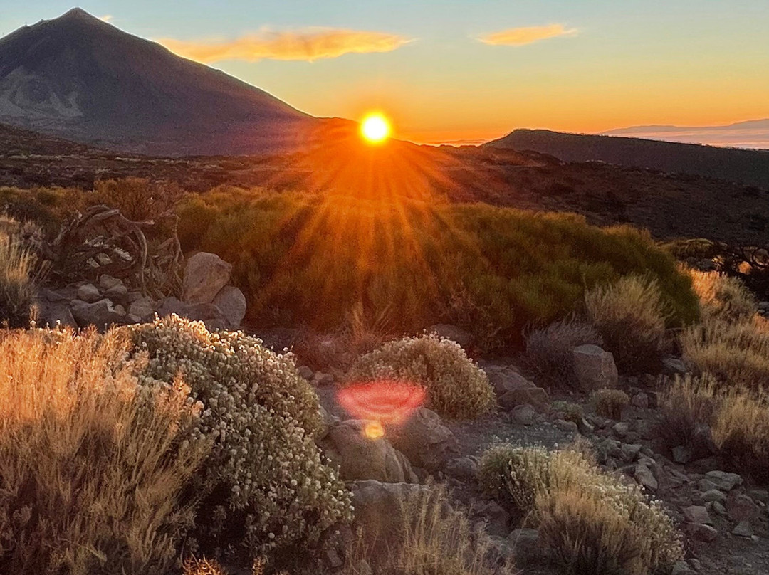 Atlantico Excursions-特纳里夫必去景点