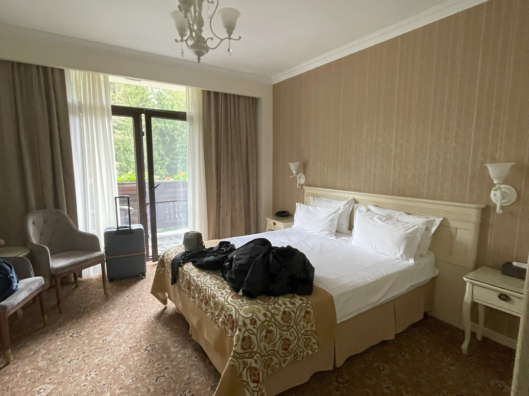 Hotel Foisorul cu Flori主图