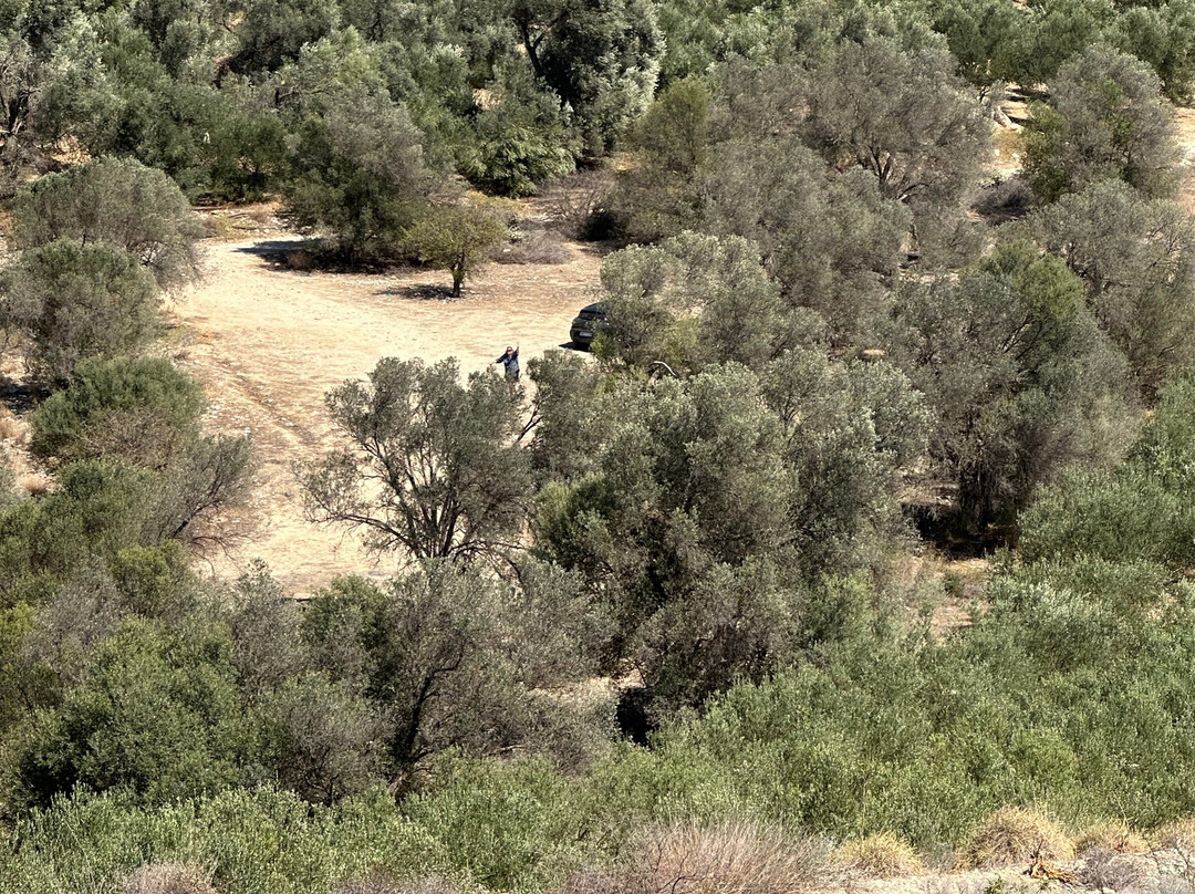 Tholos (Beehive) Tomb-Kamilari必去景点