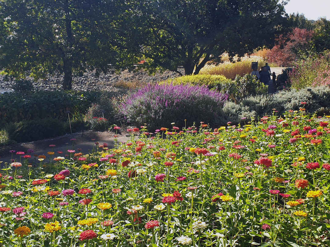 Mount Lofty Botanic Garden景点图片