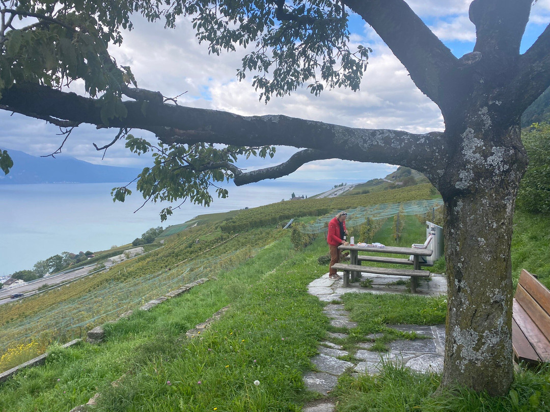 Maurice Neyroud-Chardonne必去景点