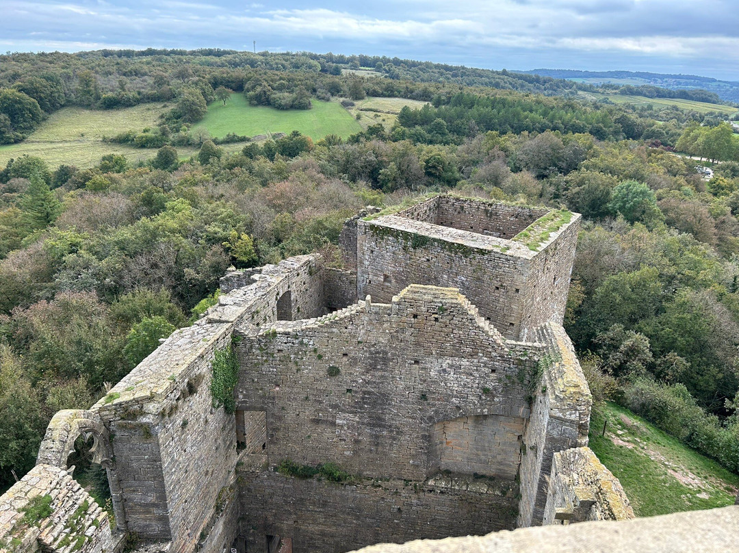 Château de Brancion景点图片