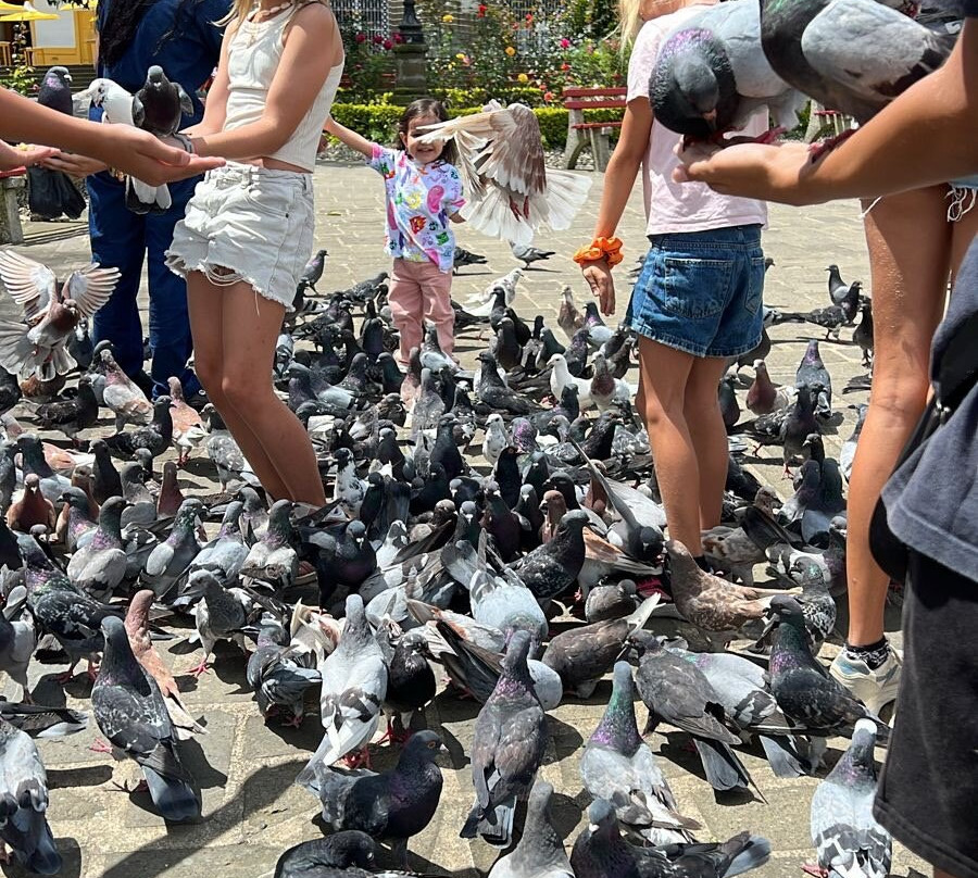 Valdivia Plaza Hotel主图