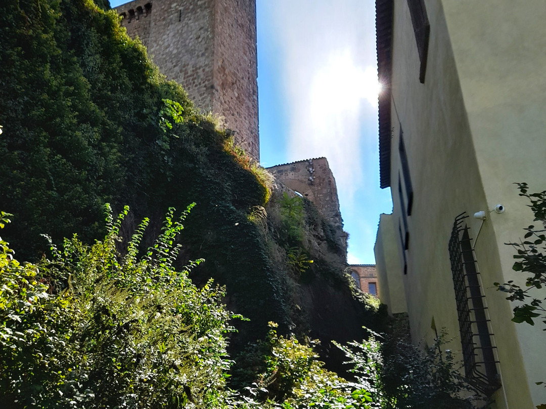 Palazzo del Drago-博尔塞纳必去景点