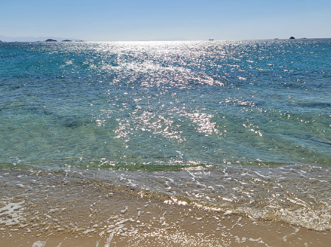 Plaka Beach景点图片