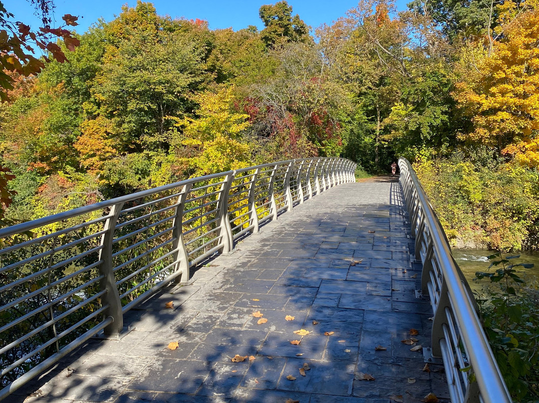 Goat Island-尼亚加拉大瀑布必去景点