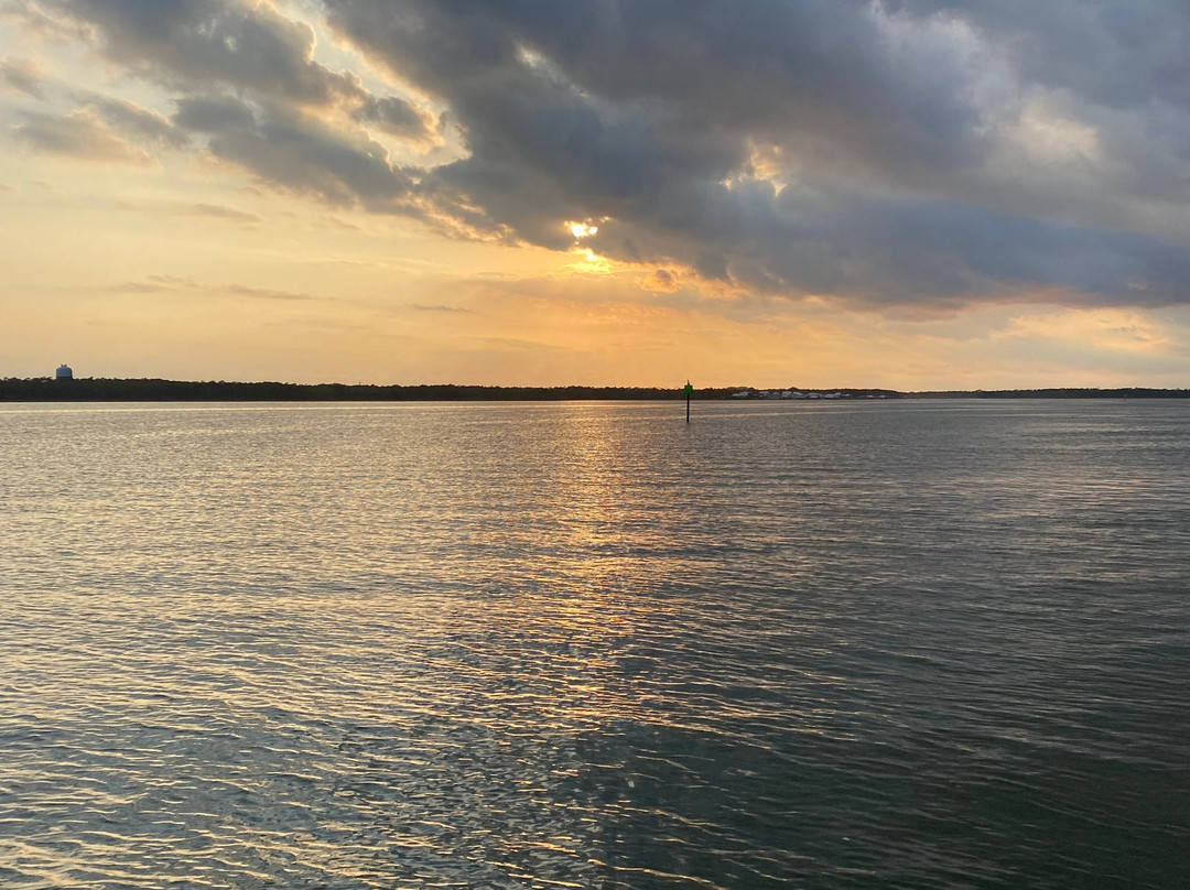Dolphin Cruise aboard the Cold Mil Fleet-橙色海湾必去景点