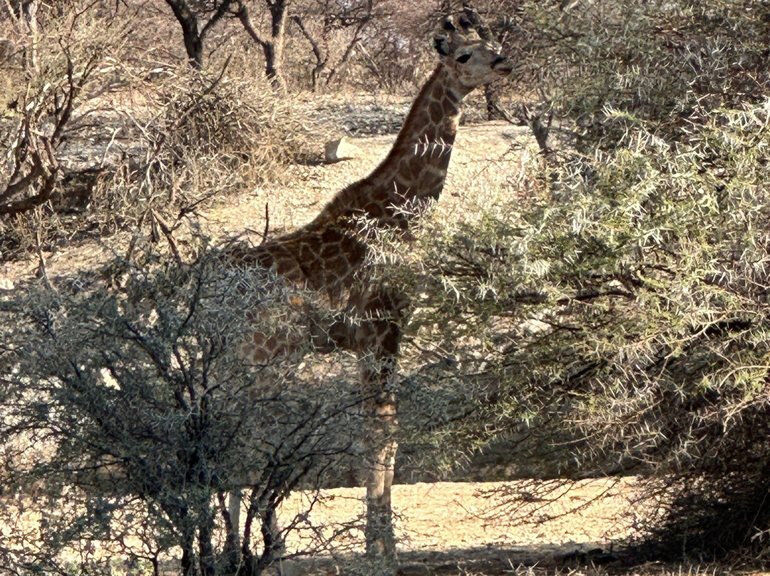 Epako Safari Lodge & Spa主图