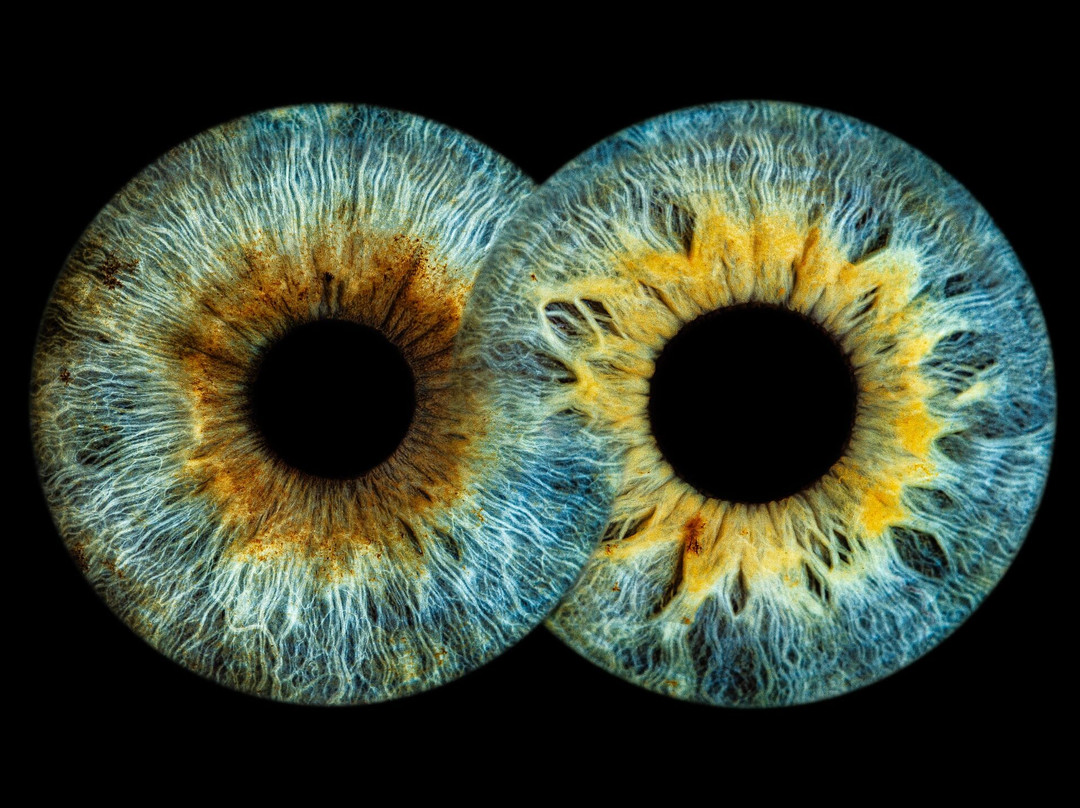Eyemazy Amsterdam景点图片
