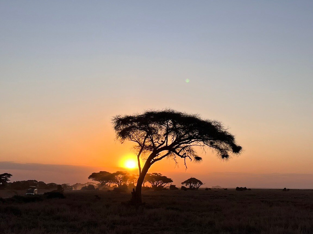 Muka Tours and Safaris-马林地必去景点