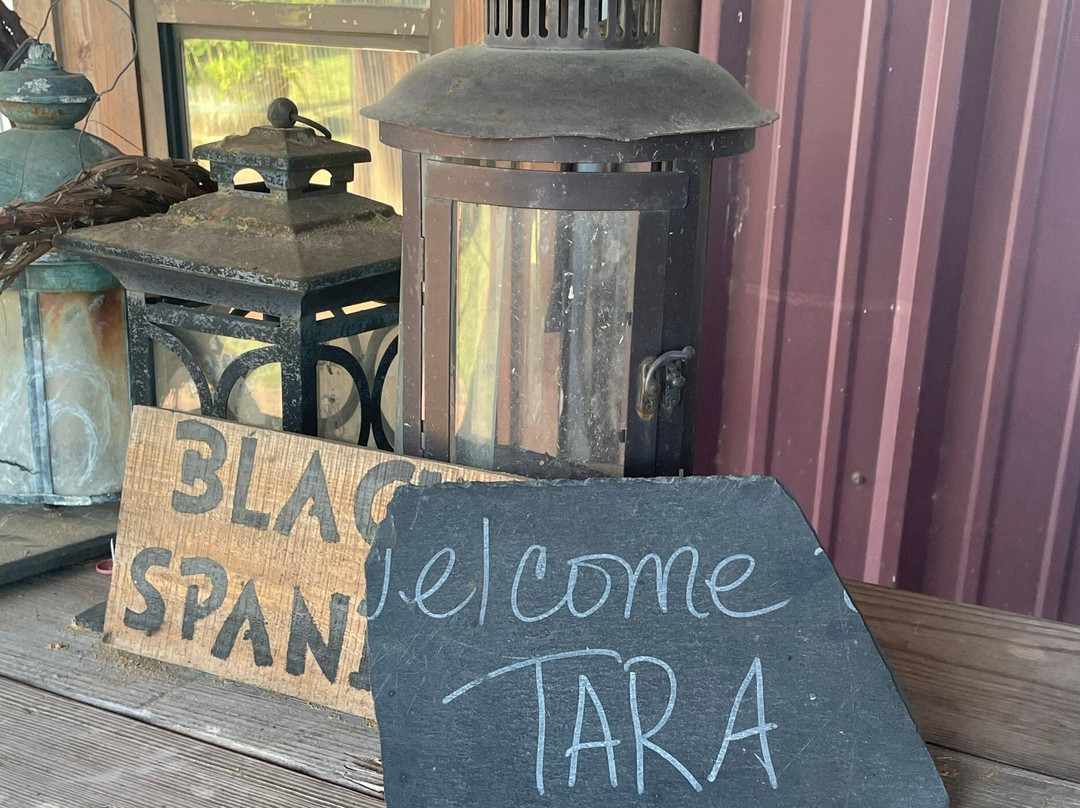 Tara Vineyard & Winery-Athens必去景点