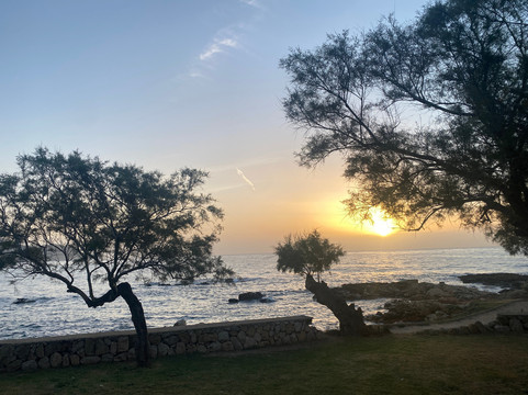 Hipotels 卡拉博纳公寓主图