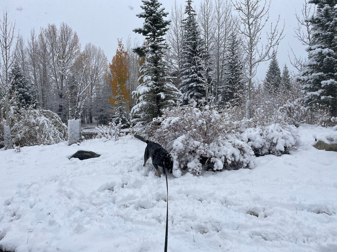 Walter Byron Park-弗里斯科必去景点