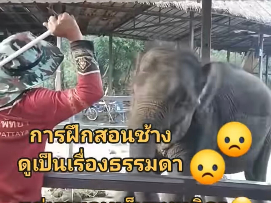 SUANTHAI PATTAYA-Ban Huai Yai必去景点