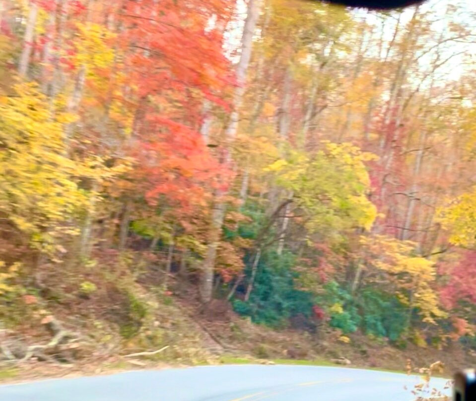 Taylor House Inn主图