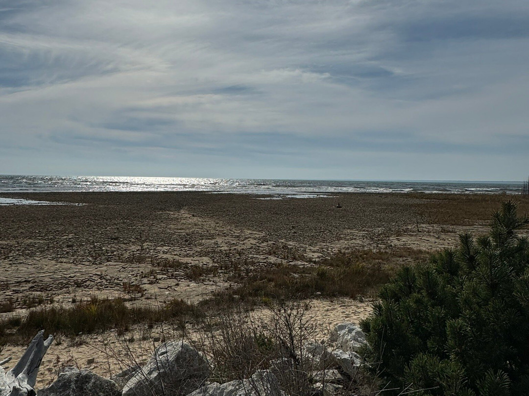 Carl D. Bradley Lakeview Park