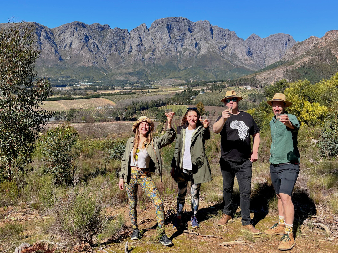 Franschhoek Wine Walk