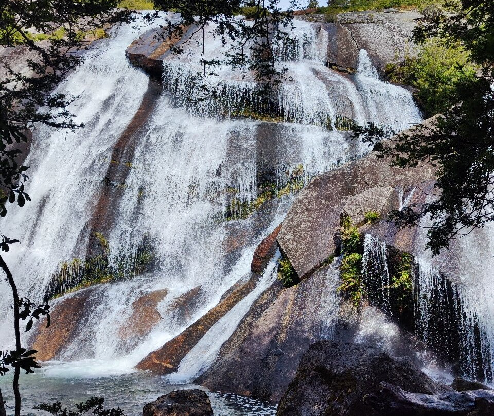 Parque Tagua Tagua-Cochamo必去景点