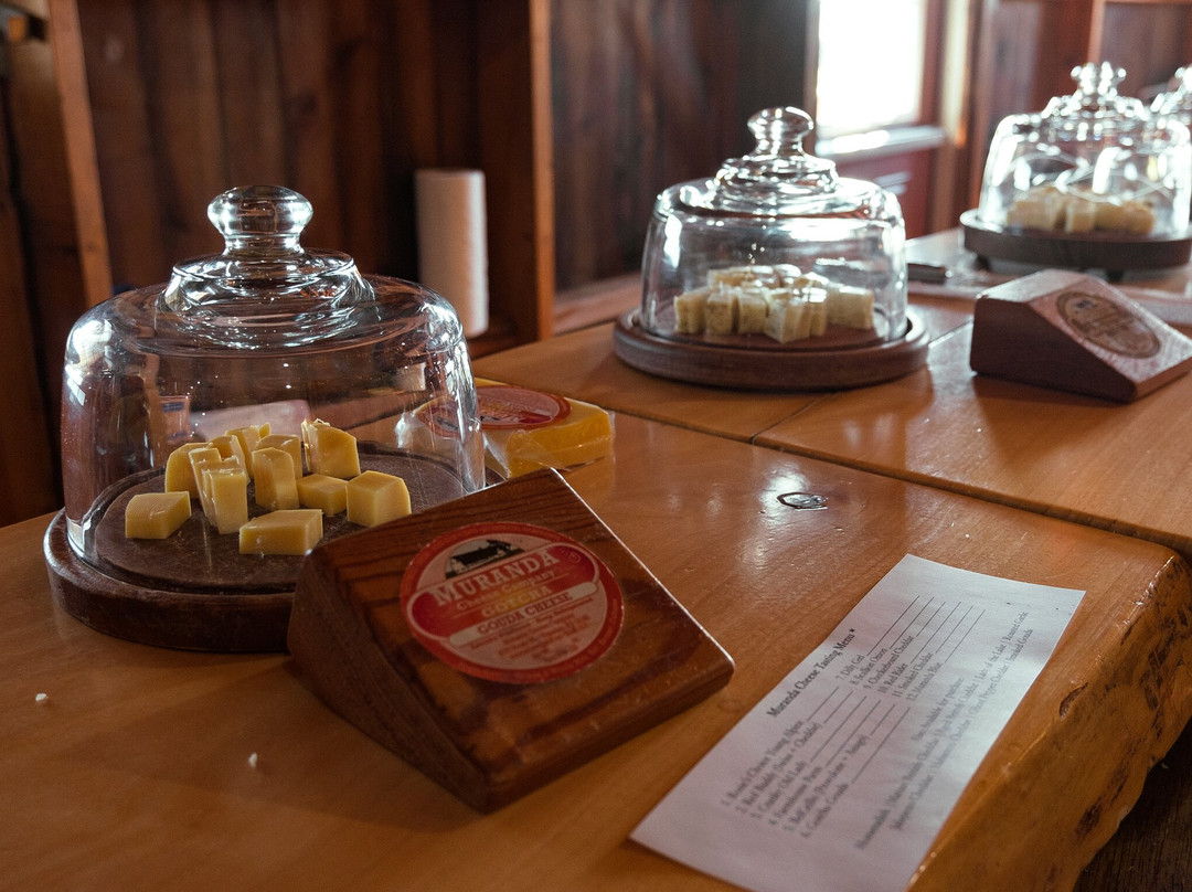 Muranda Cheese Company景点图片