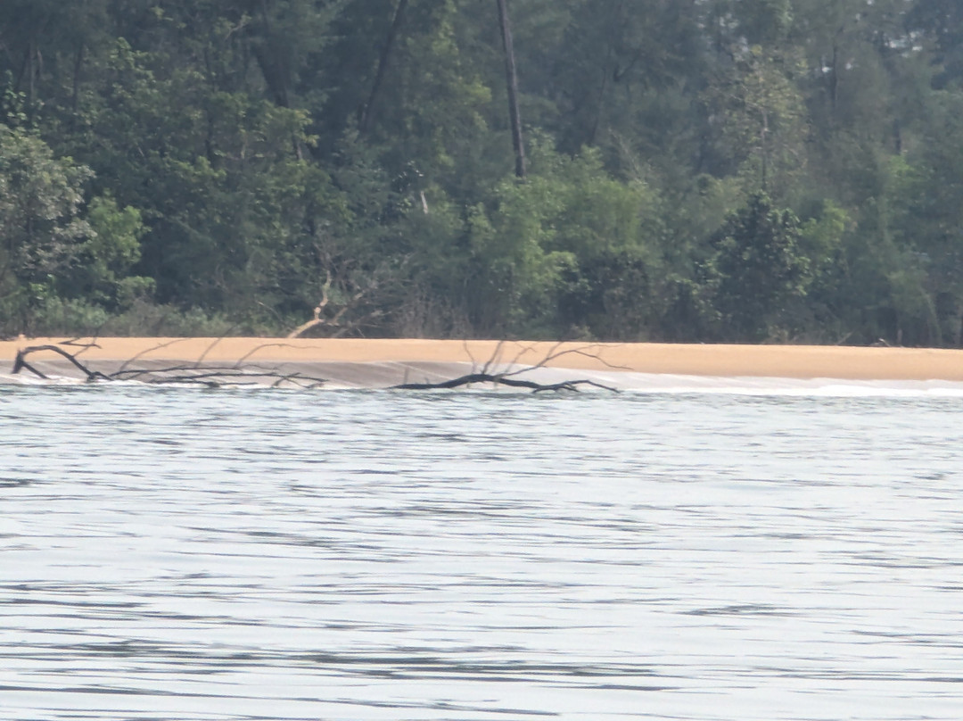 Devbagh Beach Resort - Junglelodges