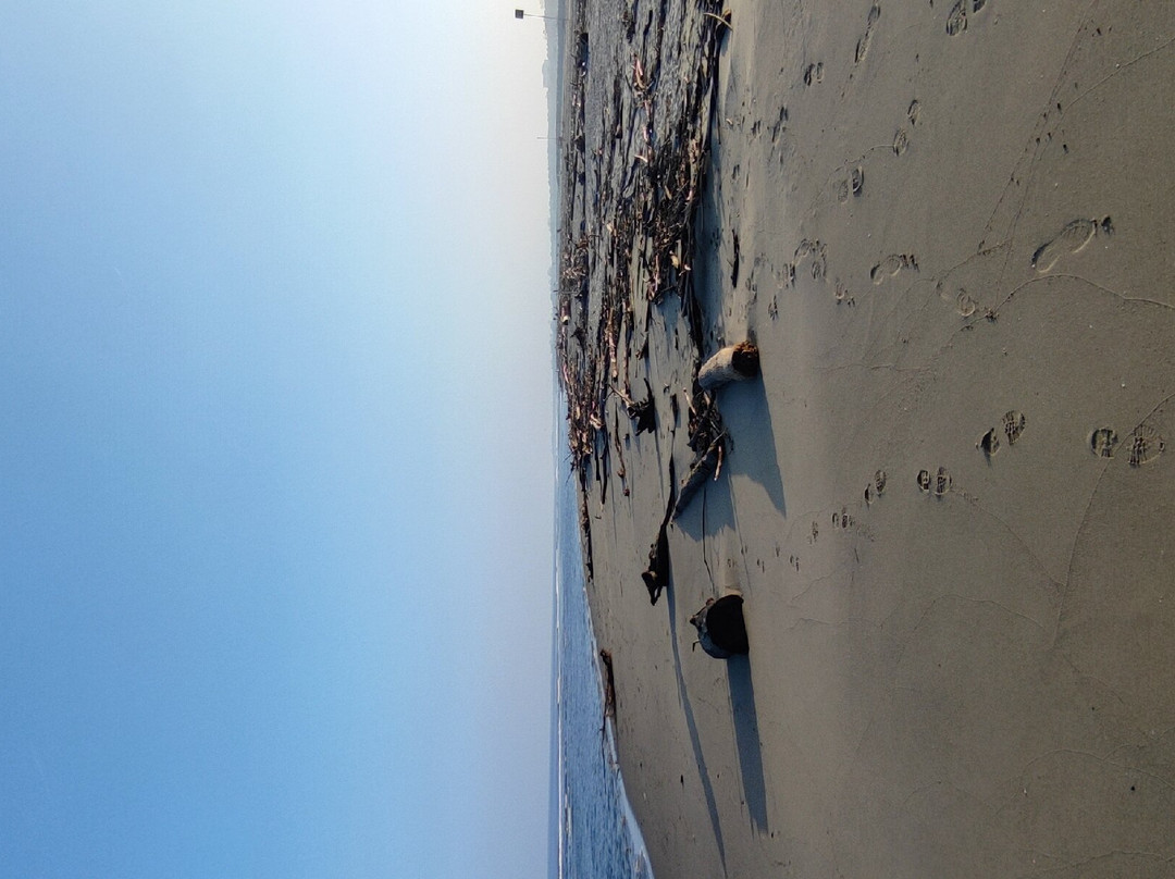 Lido Degli Estensi-Lido degli Estensi必去景点