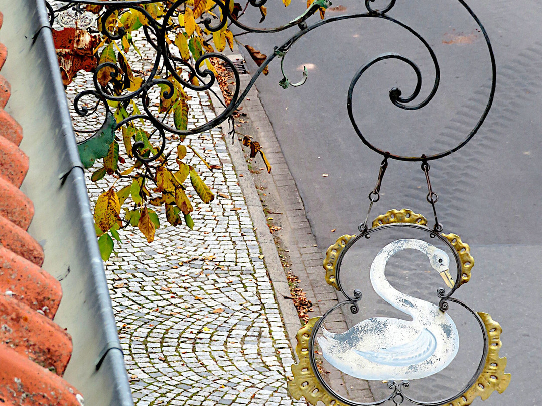 Gasthaus Zum Schwan主图