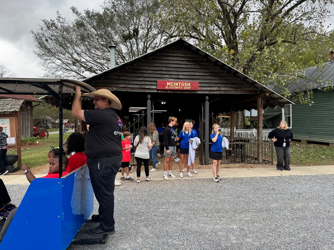 Mississippi Agricultural & Forestry Museum景点图片