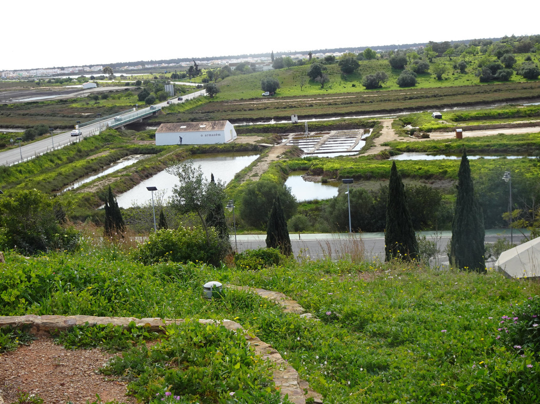 Forte de Santo António景点图片