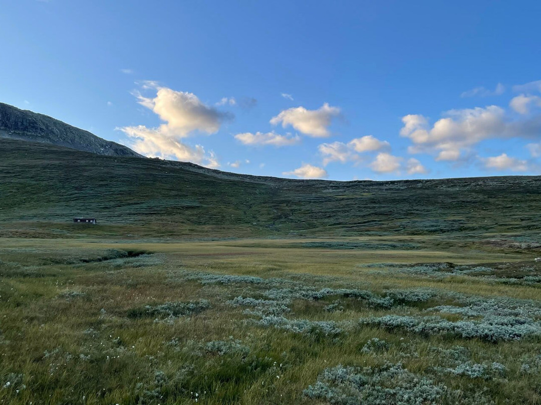 Hallingskarvet National Park景点图片
