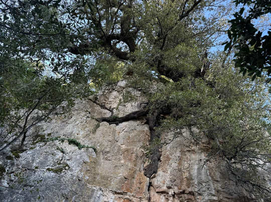 Escursioni in Quad Seulo