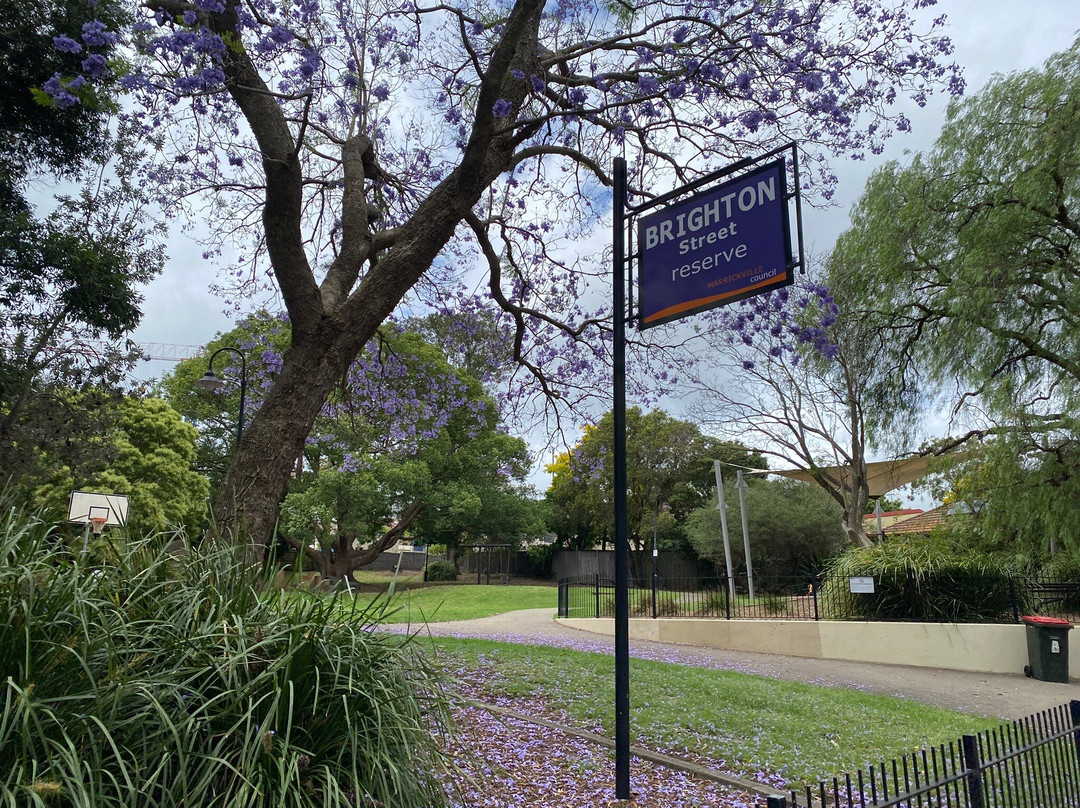Brighton Street Reserve