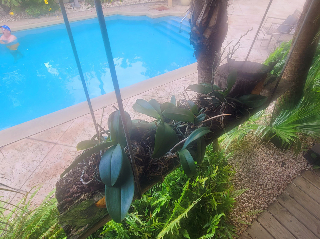 阿鲁巴巴拉特拉公园酒店主图