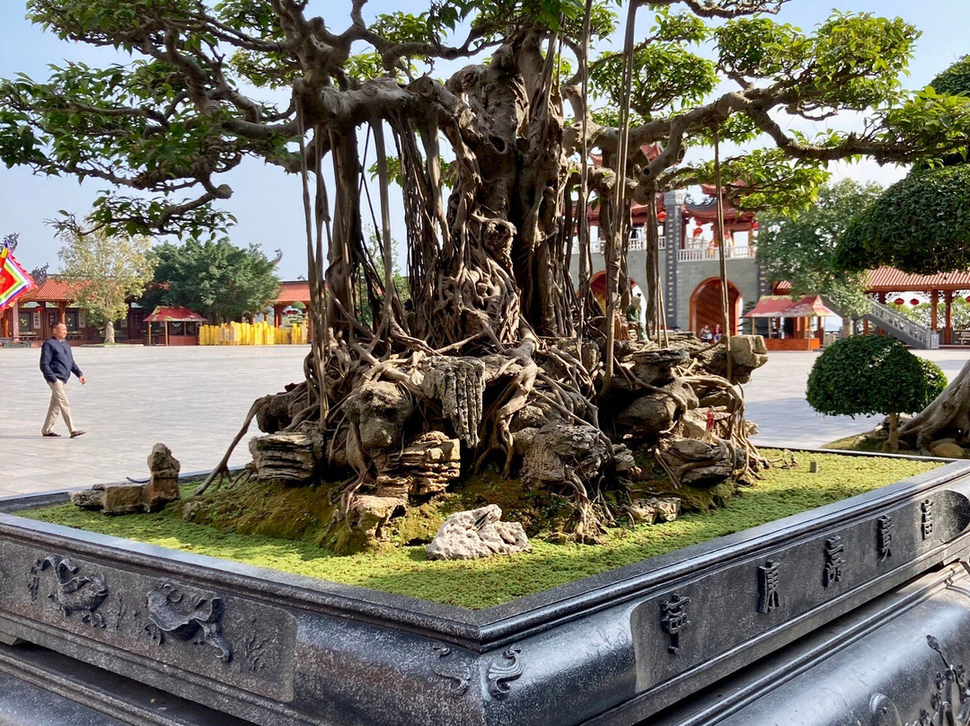 Ba Vang Pagoda-Uong Bi必去景点