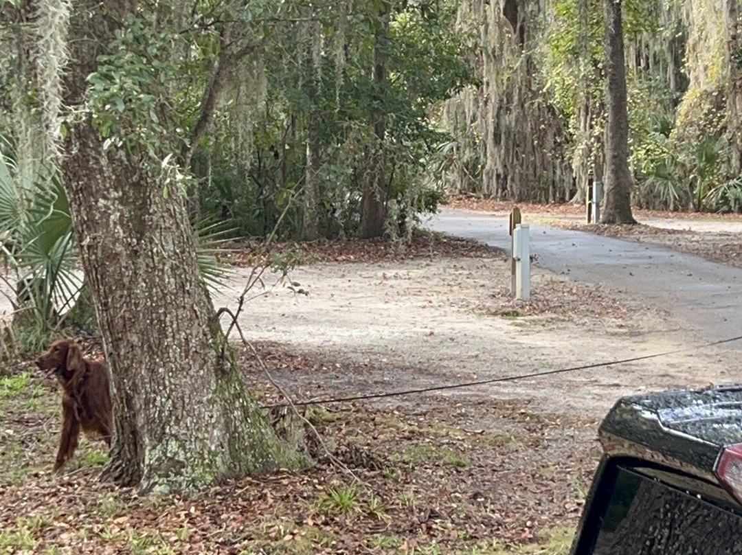 Skidaway Island State Park-萨凡纳必去景点
