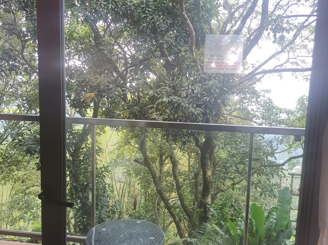 Elephant Passage Resort Munnar主图