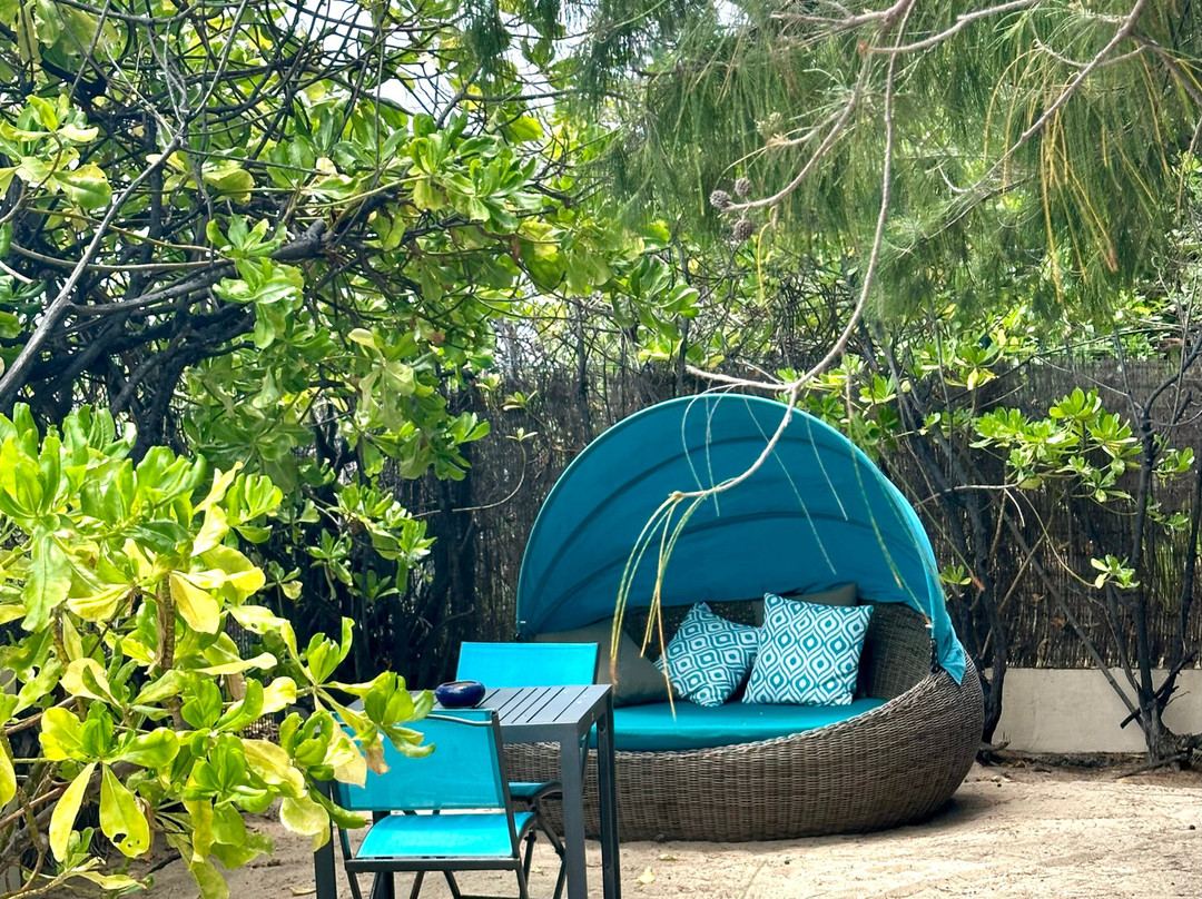 La Villa de la Plage主图