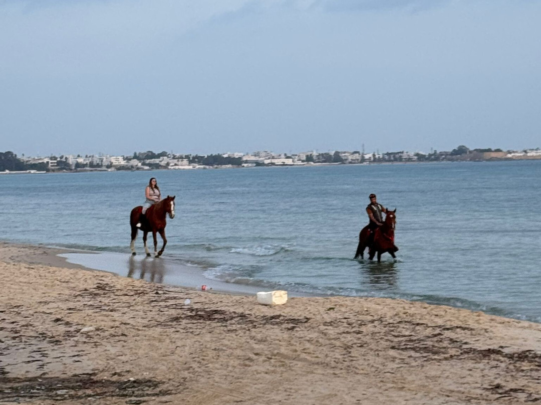 Club Equus Hammamet-哈玛麦德必去景点