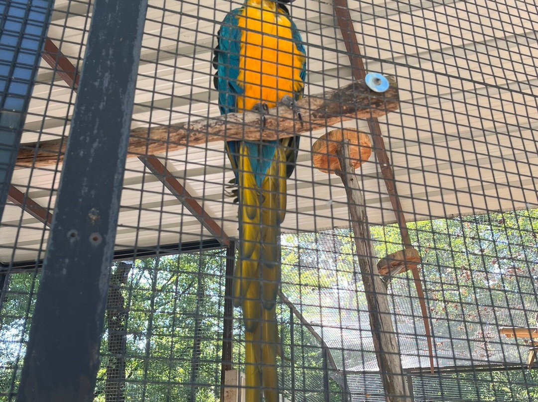 Z'animoland-Monbalen必去景点