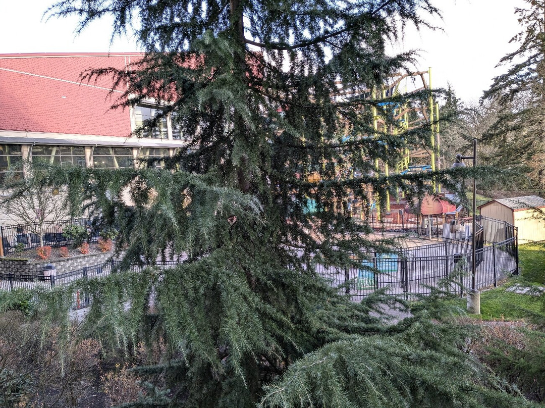 格兰德芒德格雷特伍尔夫旅馆主图