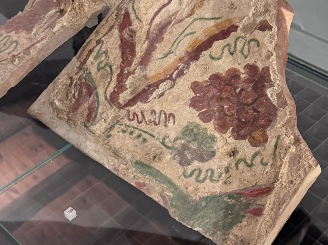 Museo Archeologico Baglio Anselmi-马尔萨拉必去景点