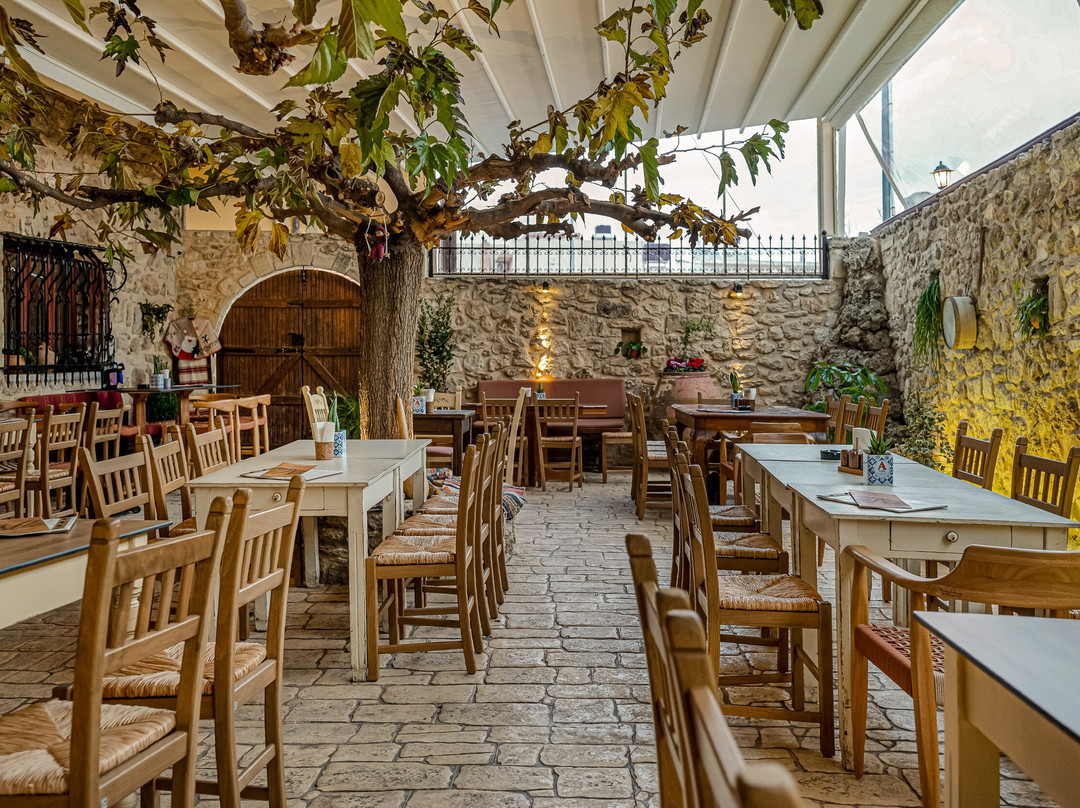 Arodamos Stone Grove