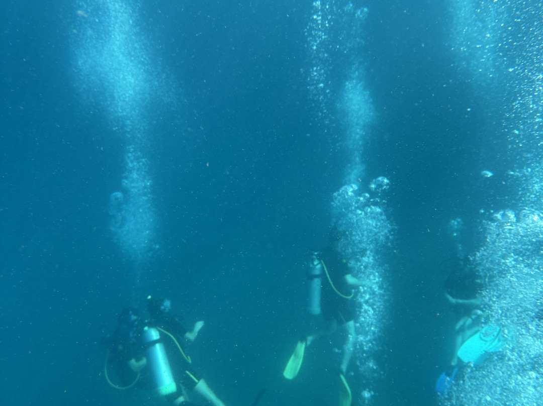 Sail Caribbean Divers-Road Town必去景点