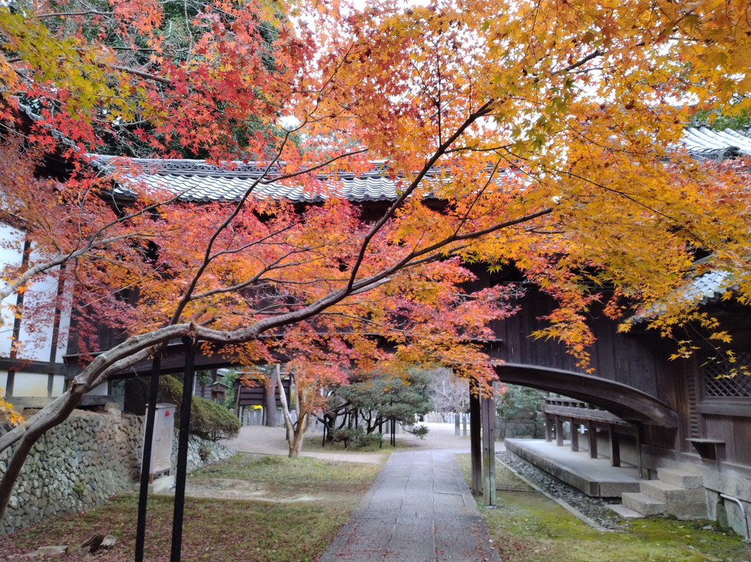 Muko Shrine-向日市必去景点