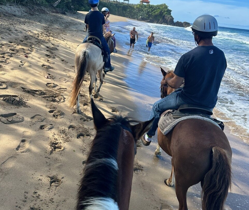 Horseback Rides by Pintos R Us-吕康必去景点