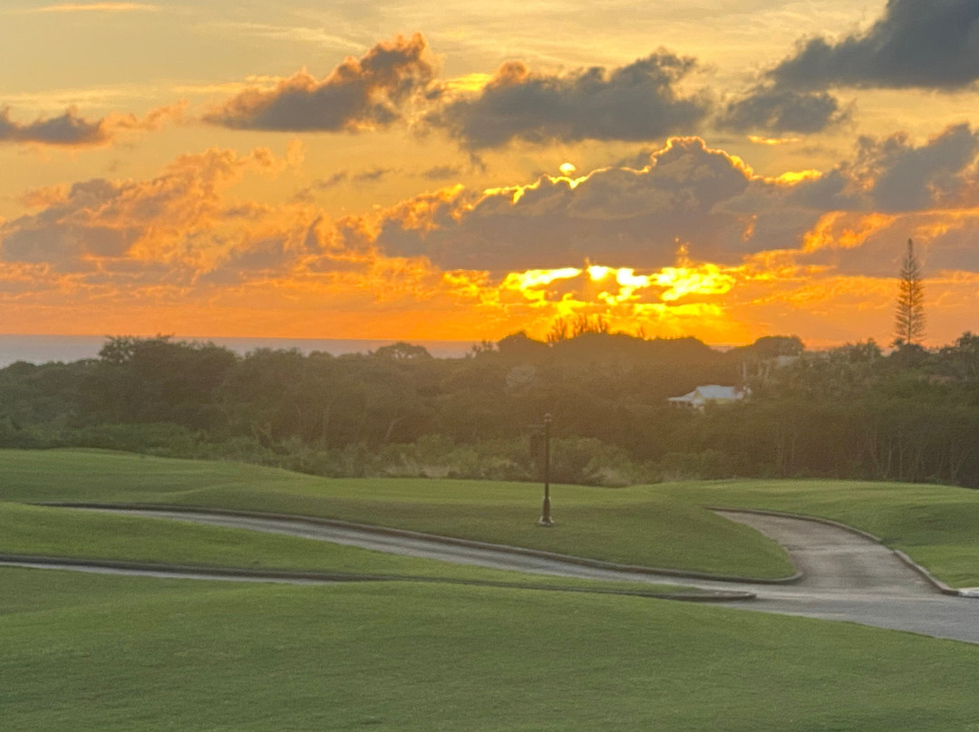 Royal Westmoreland主图