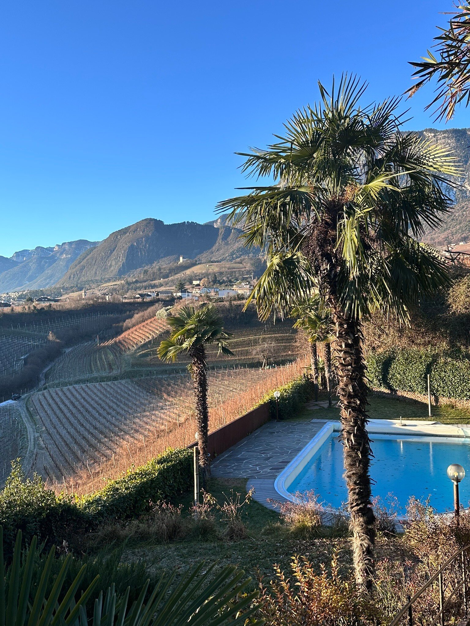 Hotel Weinberg-官方