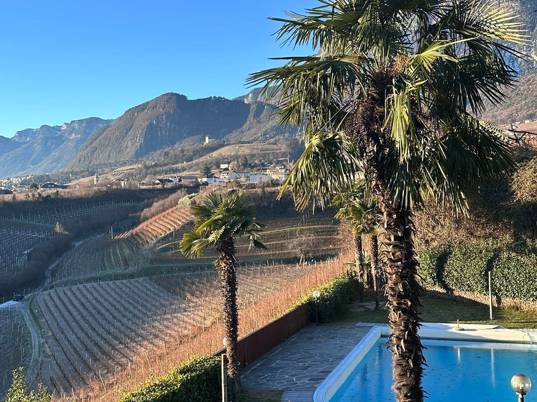 Hotel Weinberg主图